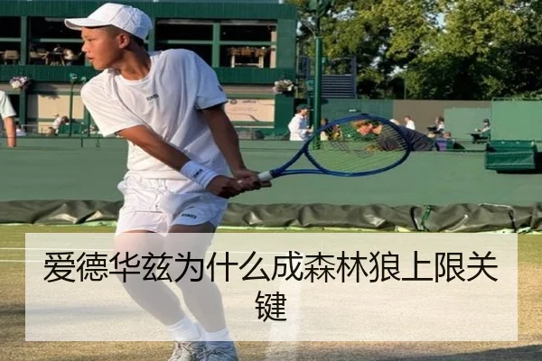 爱德华兹为什么成森林狼上限关键