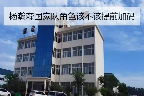 杨瀚森国家队角色该不该提前加码